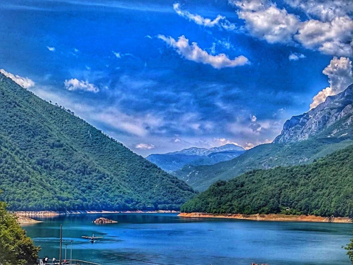 Apartment Lake Story Pluzine Bagian luar foto