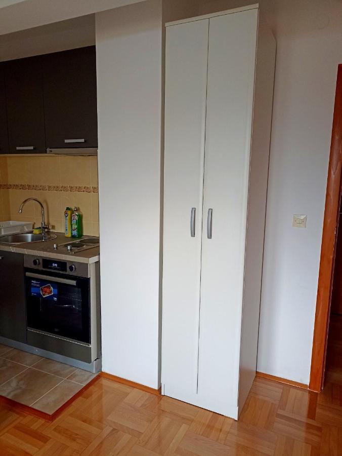 Apartment Lake Story Pluzine Bagian luar foto