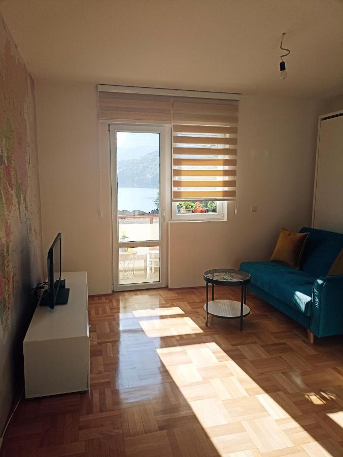 Apartment Lake Story Pluzine Bagian luar foto
