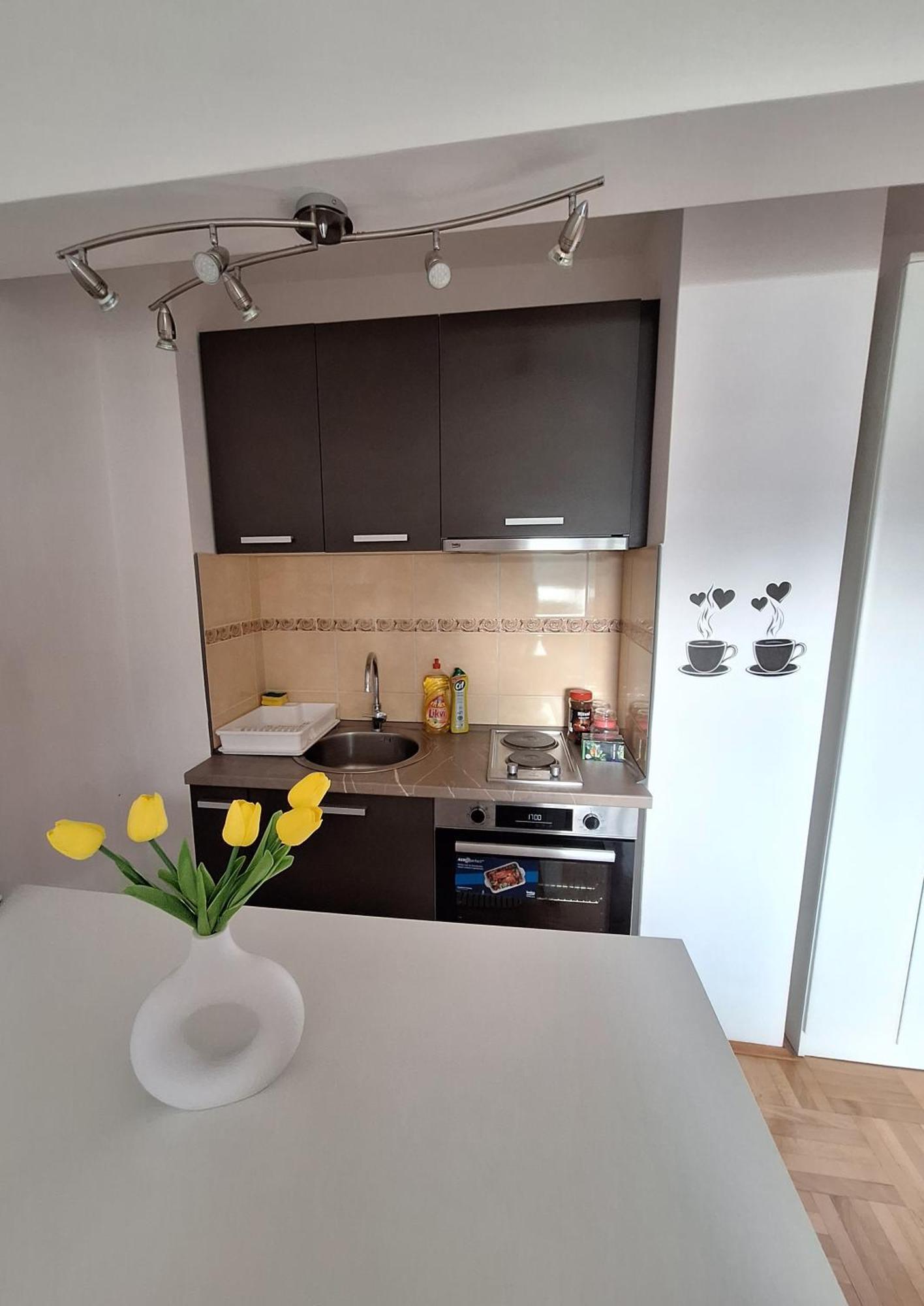 Apartment Lake Story Pluzine Bagian luar foto