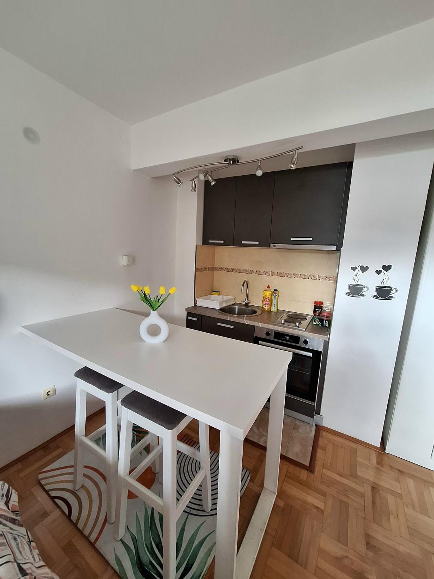 Apartment Lake Story Pluzine Bagian luar foto
