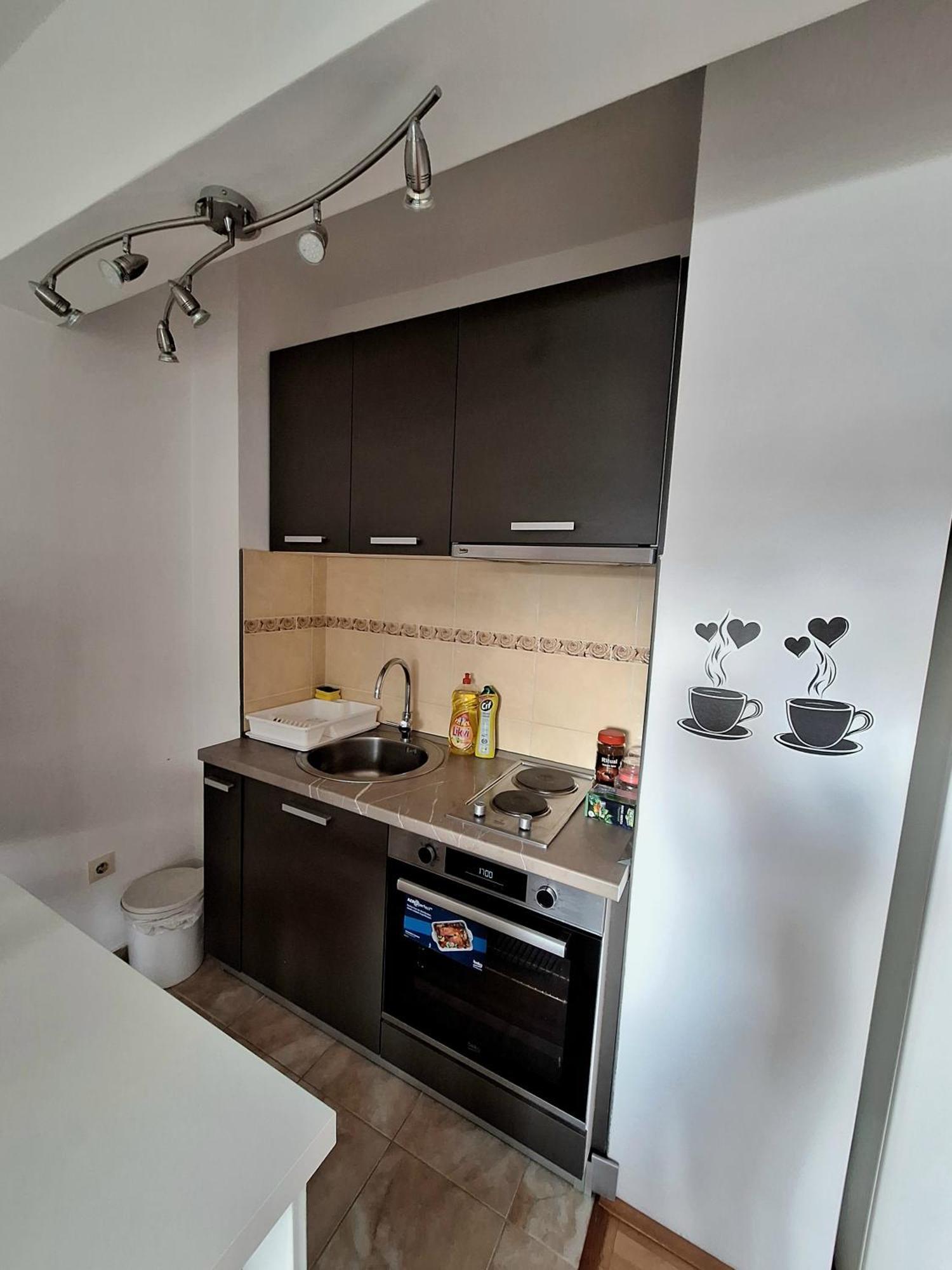 Apartment Lake Story Pluzine Bagian luar foto